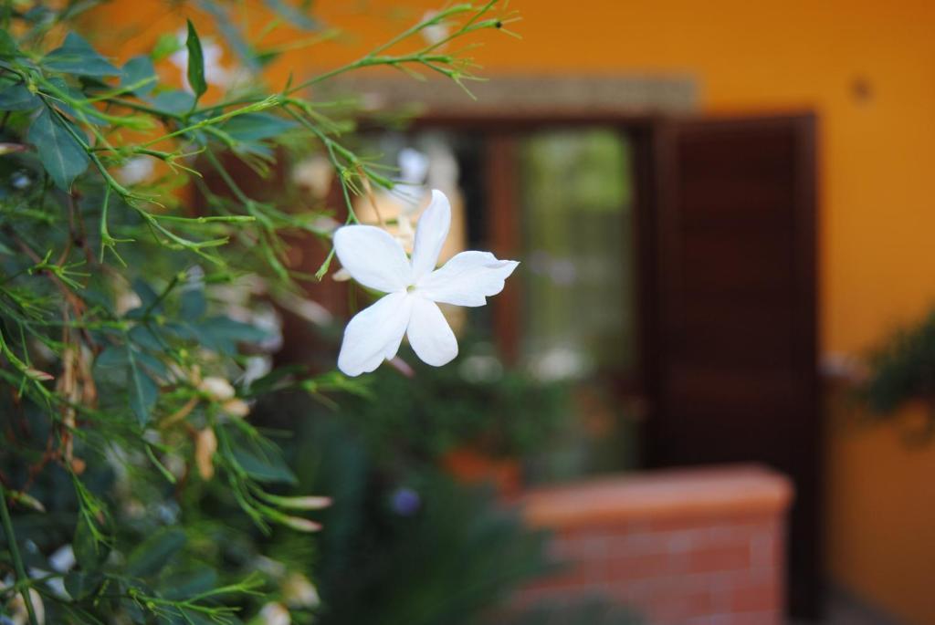 Residence Villa Il Glicine Taormina Quarto foto